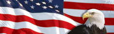 US Flag 1 Eagle