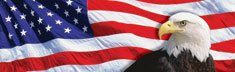 US Flag 2 with Eagle