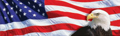 US Flag 2 with Eagle 2