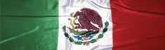 Mexican Flag