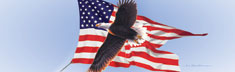 American Flag Eagle