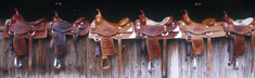 Six Saddles