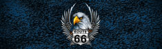 Winged 66