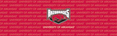 Arkansas Razorbacks