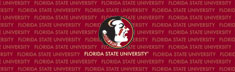 Florida State Seminoles