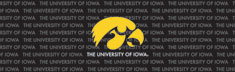 Iowa Hawkeyes