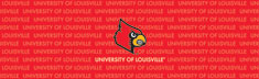 Louisville Cardinals