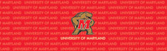 Maryland Terrapins