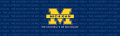 Michigan Wolverines
