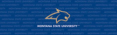 Montana State