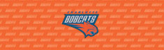 Charlotte Bobcats