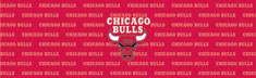 Chicago Bulls