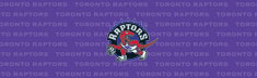 Toronto Raptors