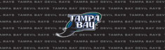 Tampa Bay Rays