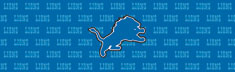 Detroit Lions